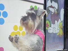 Foto 42