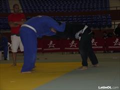 Foto 22