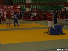 Foto 43