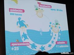 Foto 31