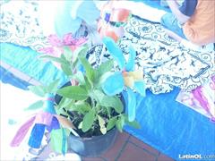 Foto 9