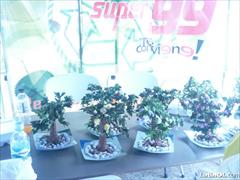 Foto 51