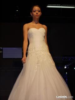 Foto 66