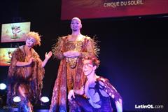Foto 37
