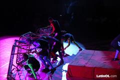 Foto 33