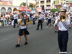 Foto 340