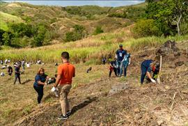 Realizan jornada de limpieza de los manglares