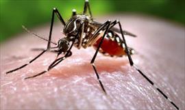 Ya van 73 casos de zika en Panam, detectan caso importado en Paitilla