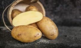 Beneficios del aguacate en nuestra salud