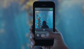 Millones de imgenes en Internet estn dejando de ser visibles gracias a Photobucket