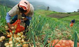 Tecnologa al servicio del agro en Panam