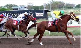 Yegua ganadora del clsico Isaac Sam' Jimnez
