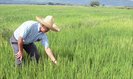 Tecnologa al servicio del agro en Panam