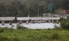 Hacen recomendaciones a pesqueros de la zona de Coln a que eviten ser vctimas de ataques de cocodrilos