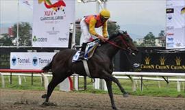 Este equino es una de los favoritos para la Copa Confraternidad del Caribe