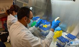 Vacunas contra influenza han sido aplicadas en diferentes instalaciones