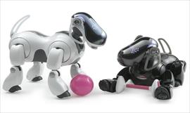 Aibo el Can robot de Sony ya tiene nueva versin