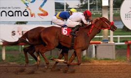Yegua ganadora del clsico Isaac Sam' Jimnez