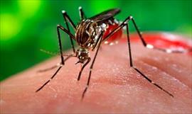 Ya van 221 casos del Zika en Panam