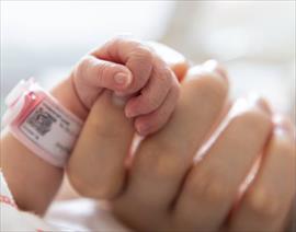 La endogamia Procrear entre familiares?