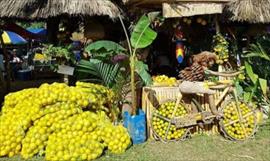 Feria de La Candelaria tendr diversas actividades