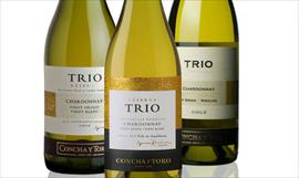 Cubano utiliza un curioso mtodo para poder producir vino en su pas