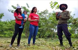 Exitosa jornada de siembra en el Parque Nacional Soberanía gracias a la campaña Respiremos mejor con Vick