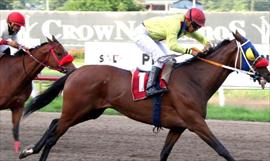 Yegua ganadora del clsico Isaac Sam' Jimnez