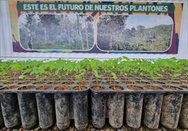 Con una segunda Feria Ambiental, ms de 180 voluntarios fomentaron la cultura de reciclar en isla Taboga