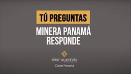 Experta en nutricin: las vitaminas y los minerales cumplen funciones esenciales