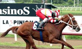 Sol de Orin representar a Panam en el Clsico Internacional del Caribe