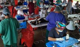 191 perritos y gatitos fueron esterilizados