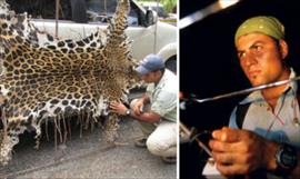 Mitos y leyendas del jaguar