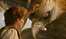 Atencin fans de Harry Potter: Brontis Jodorowsky interpretar a Nicols Flamel