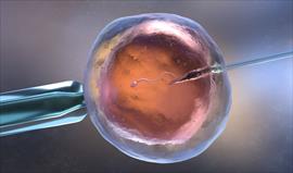 DuoStim reduce a la mitad el tiempo para conseguir un embrión sano