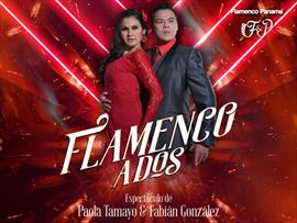 Academia Flamenco Panam presenta Andar Flamenco un evento a beneficio de Fundacin Fanlyc Panam