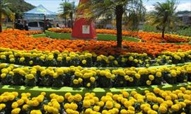 Hoy se inaugura la Feria de las Flores y del Caf