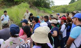 Disponible exhibicin interactiva sobre la biodiversidad de Panam