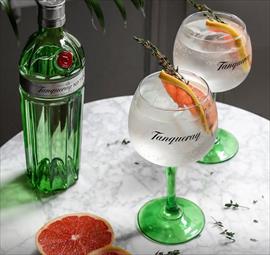 El Gin Tonic acelera el metabolismo?