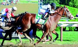 Panameos destacan en el hipismo norteamericano