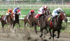 Omar Hernndez deslumbra en el Gulfstream Park