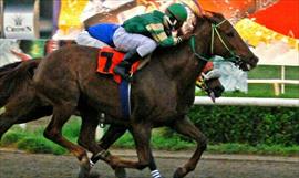 En el Derby de Kentucky participan tres panameos