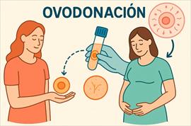 La diabetes y su impacto en la fertilidad