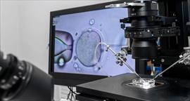 Fertilidad y estilo de vida: Cmo mejorar tus probabilidades de xito en tratamientos de fertilidad?