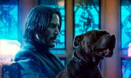 En mayo regresar John Wick