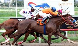 La jocketa Carrera se luci en su primera victoria