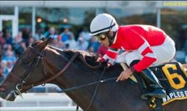 Invasin criolla en Gulfstream Park