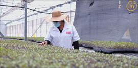 Toledano consolida su liderazgo y expande su presencia internacional con la exportacin de huevos al Caribe