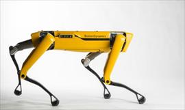 Google le dice adis a Schaft y Boston Dynamics