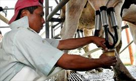 Productores de leche se quejan por las altas importaciones de este producto